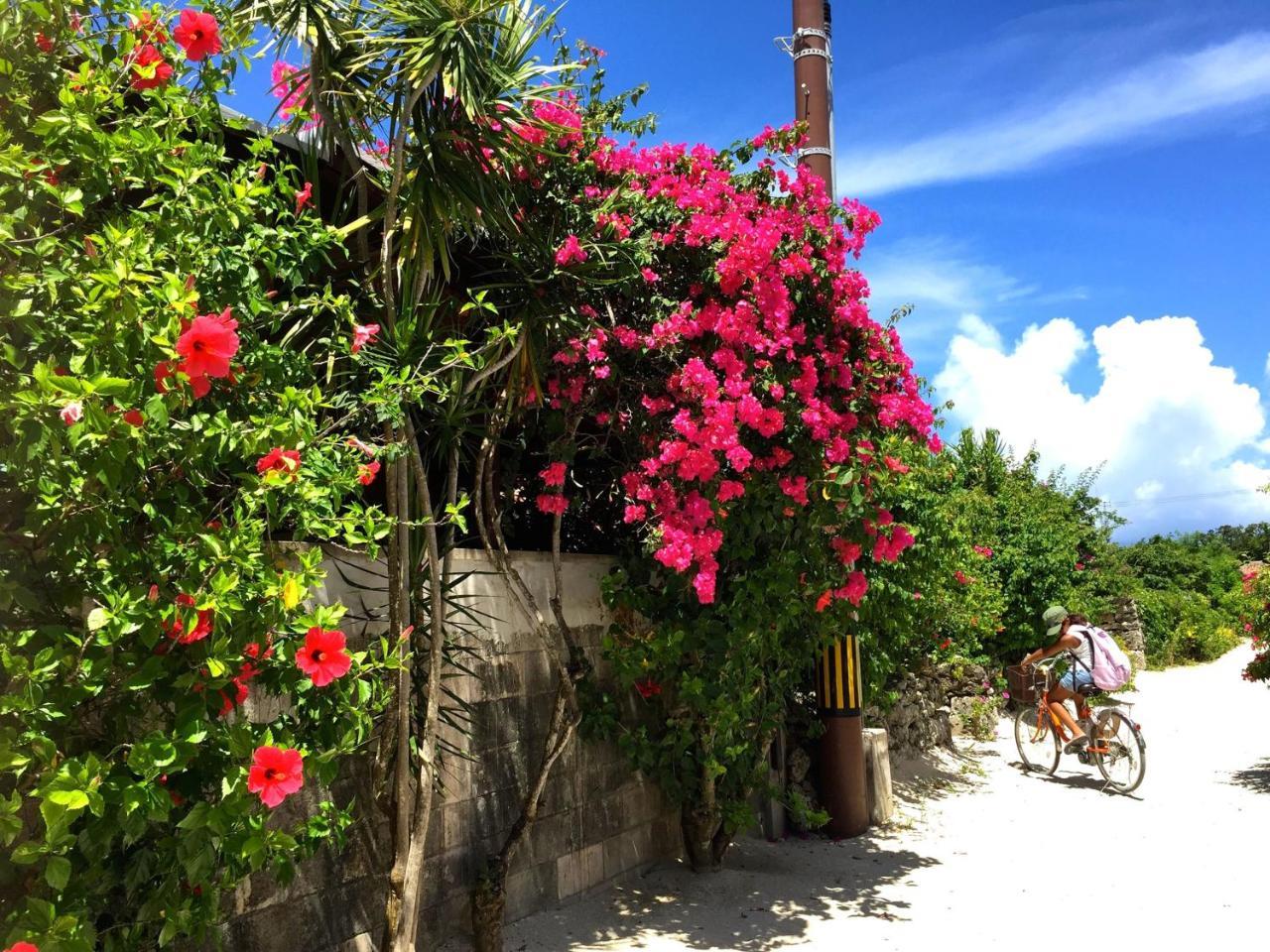 Guesthouse Ho Aloha Ishigaki  Buitenkant foto